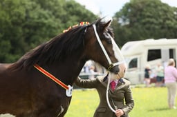 E36_0997 2026