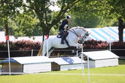 032 RATHFREDAGH GIORGI