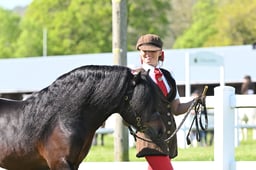 S19_7369 2026