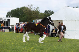 E36_0926 2026