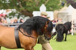 S29_0478 2026