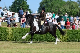 S61_0803 2026