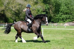 M19_0514 2026