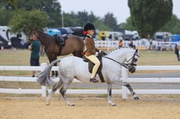 E65_1636 2026