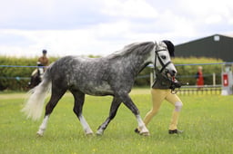 J36_6058 2026