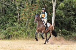 D68_0760 2026