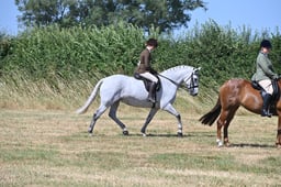 S60_0698 2026