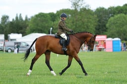H36_9093 2026