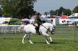 C34_1034 2026