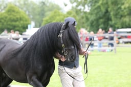 W29_1067 2026