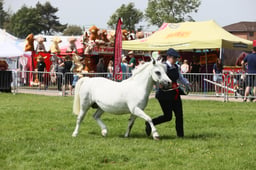 E34_1594 2026