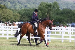 E43_0550 2026