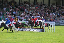 Shetland Pony Grand National