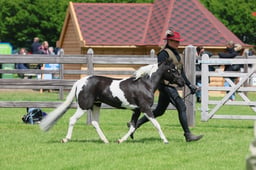 S28_8891 2026