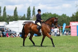 H36_8516 2026