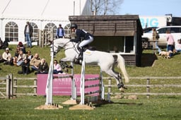 553 ANOTHER CLASS COOLEY