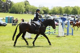 Open Novice