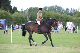 W36_2316 2026