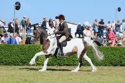 S61_0838 2026