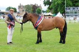 Highland Overall