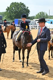 A65_2783 2026