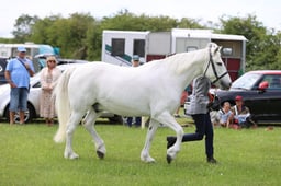 J36_6703 2026