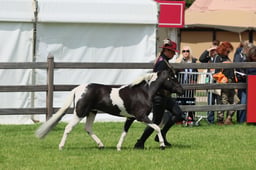 S28_8885 2026