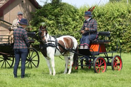E33_4841 2026