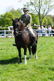 H19_0489 2026