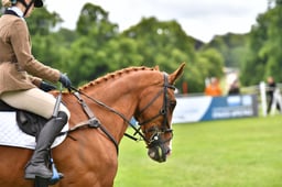 01-04 Hurworth Hunt
