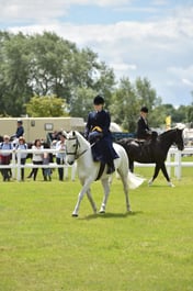 CLH217 Side Saddle Equitation