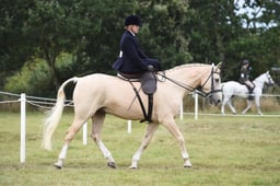 51 Best Horse or Pony Ridden Side Saddle