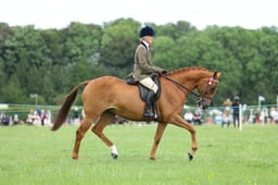 H36_9122 2026