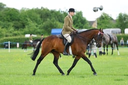 H36_8301 2026