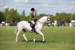 W36_2183 2026