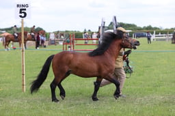 J36_7803 2026