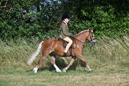 S60_0050 2026