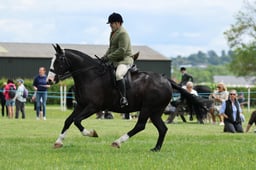 H36_8070 2026