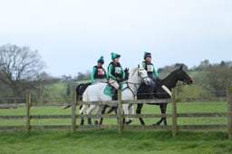 D14_7916 2026