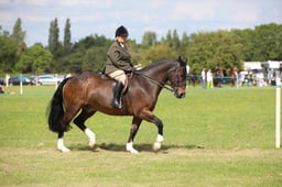 W36_2170 2026