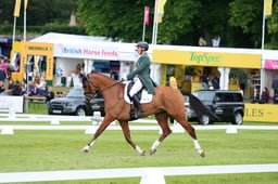 186  MGH ZABAIONE