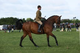 E36_0454 2026