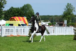 F33_0504 2026