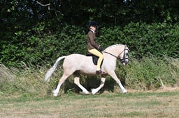 S60_0265 2026