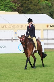 S31_5122 2026
