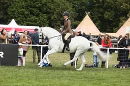 E30_1674 2026
