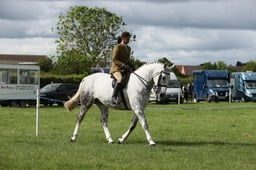 E36_0653 2026