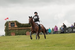 E39_1103 2026