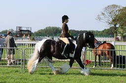 C33_0569 2026