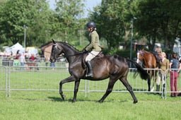 C34_0670 2026